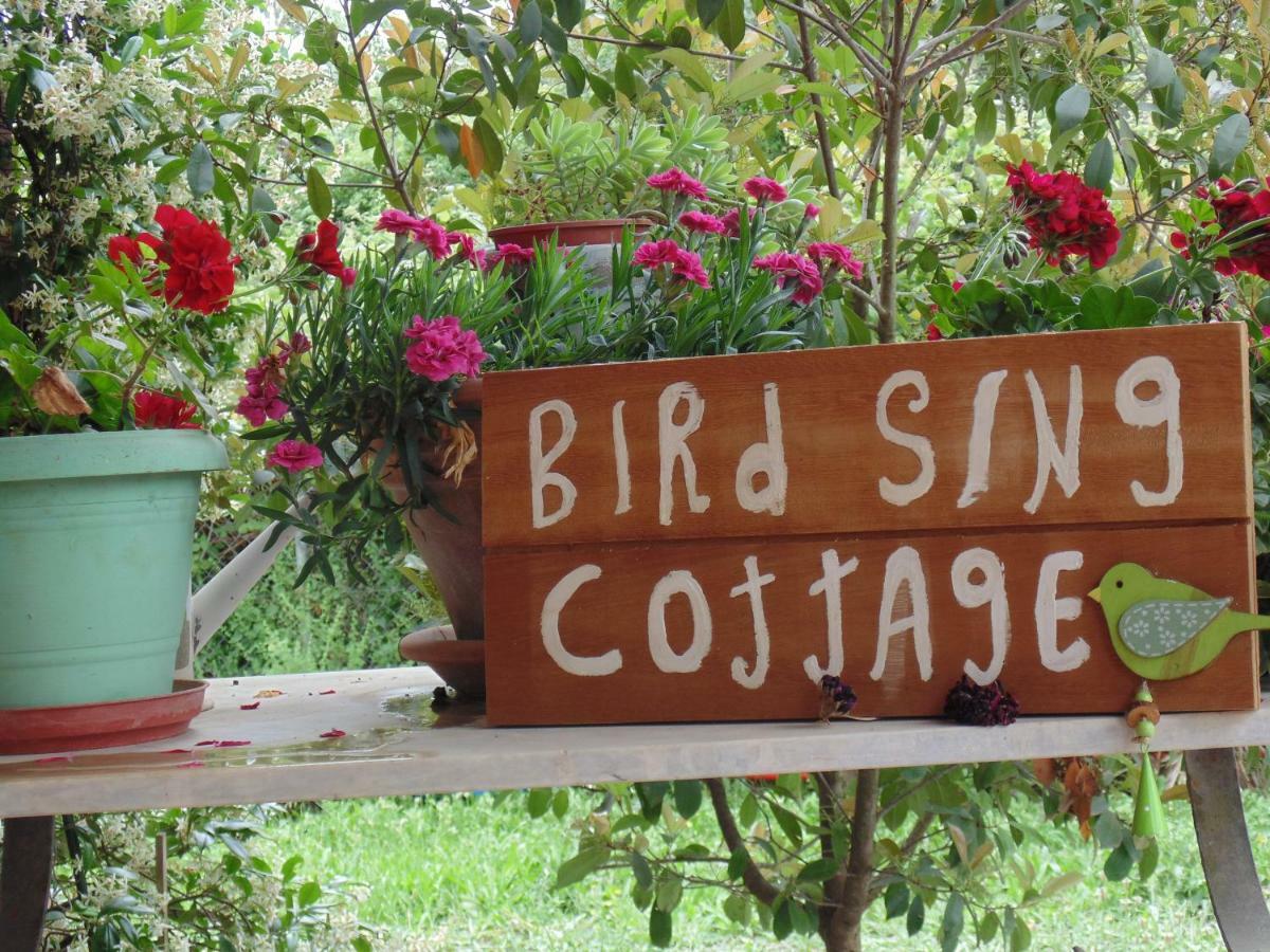Birdsing Cottage Dassiá Exteriér fotografie